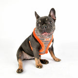 Puppia Auden Harness model A orange - Premium hondentuig > honden harnas from Puppia - Just €26.99! Shop now at Frenkiezdogshop