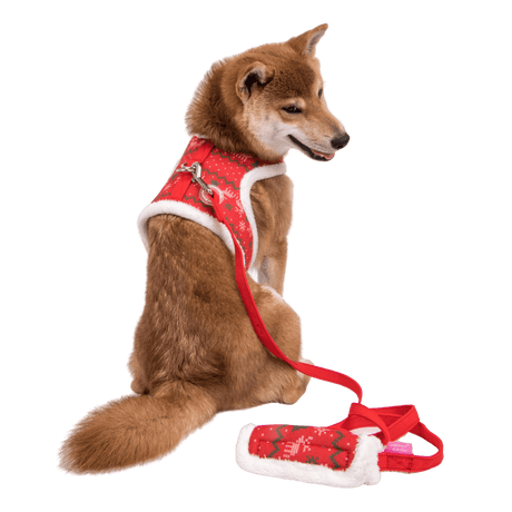 Pinkaholic Noelle Leash Green hondenriem > hondenlijn Medium