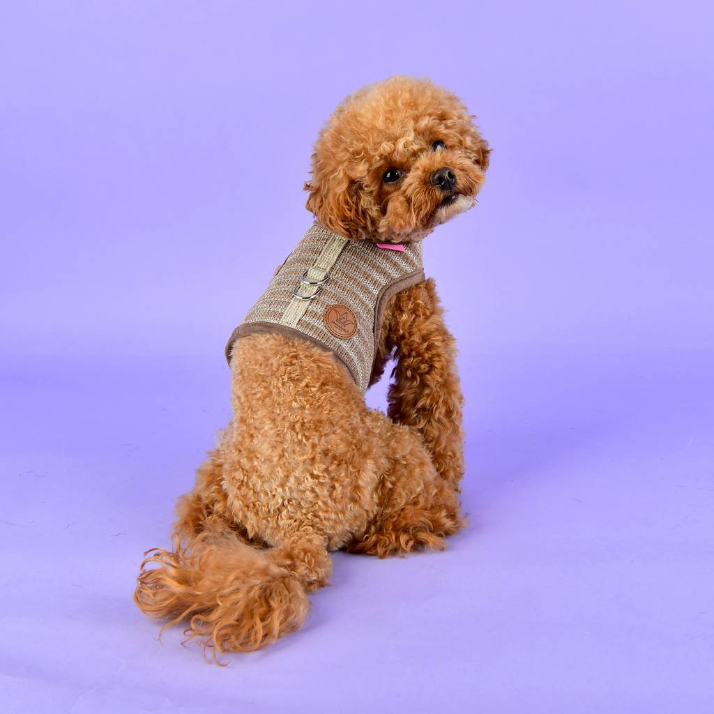 Pinkaholic Elicia Harness Pinka beige - Premium hondentuig > honden harnas from Pinkaholic - Just €28.99! Shop now at Frenkiezdogshop