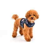 Pinkaholic Mirabelle Harness Pinka navy - Premium hondentuig > honden harnas from Pinkaholic - Just €27.99! Shop now at Frenkiezdogshop