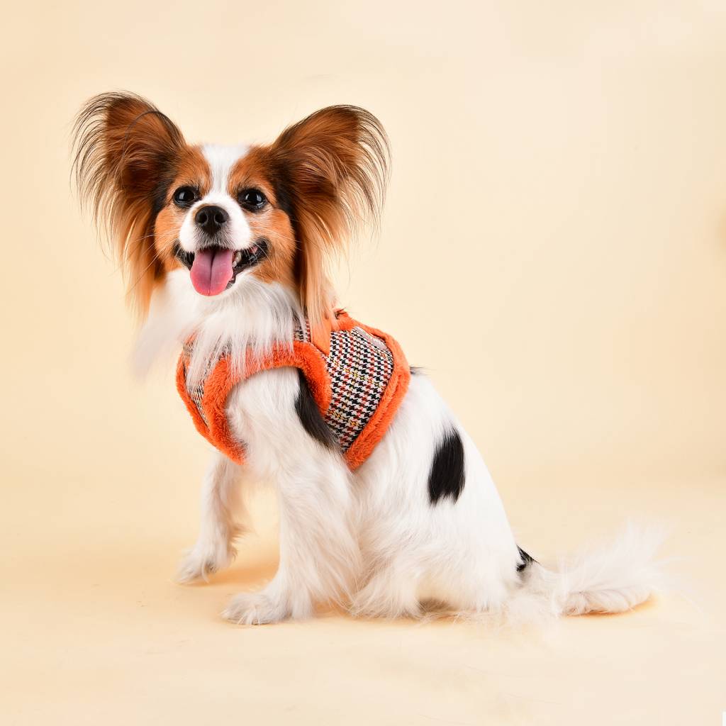 Puppia Auden Vest Harness model B orange ( SMALL ) - Premium hondentuig > honden harnas from Puppia - Just €27.99! Shop now at Frenkiezdogshop