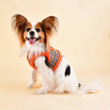 Puppia Auden Vest Harness model B orange ( SMALL ) - Premium hondentuig > honden harnas from Puppia - Just €27.99! Shop now at Frenkiezdogshop