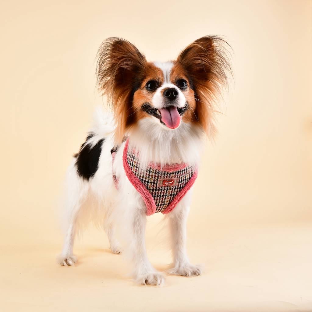 Puppia Auden Harness model A indian pink - Premium hondentuig > honden harnas from Puppia - Just €26.99! Shop now at Frenkiezdogshop