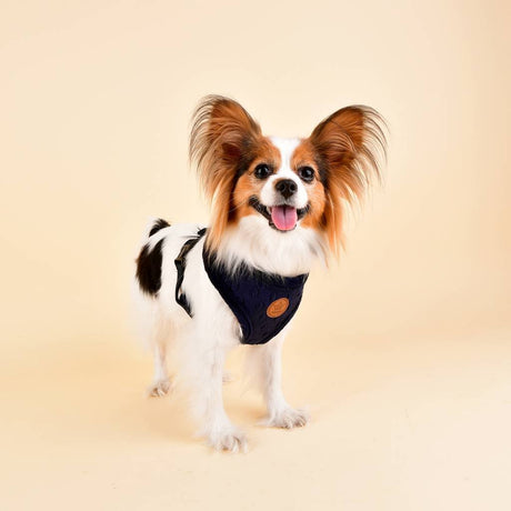 Pinkaholic Polina Harness navy hondentuig > honden harnas > model A Small