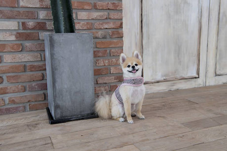 Pinkaholic Da Vinci Harness Pinka indian pink hondentuig > honden harnas > model B Small