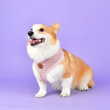 Pinkaholic Elicia Harness indian pink - Premium hondentuig > honden harnas from Pinkaholic - Just €28.99! Shop now at Frenkiezdogshop