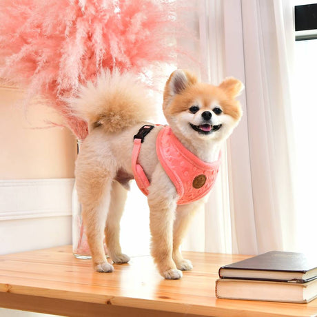 Pinkaholic Polina Harness hot pink hondentuig > honden harnas > model A Small