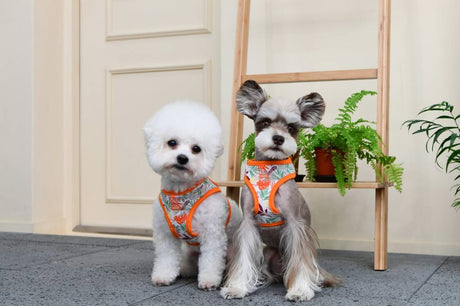 Puppia Rowan Harness Model A Orange ( Large ) hondentuig > honden harnas > model A Small