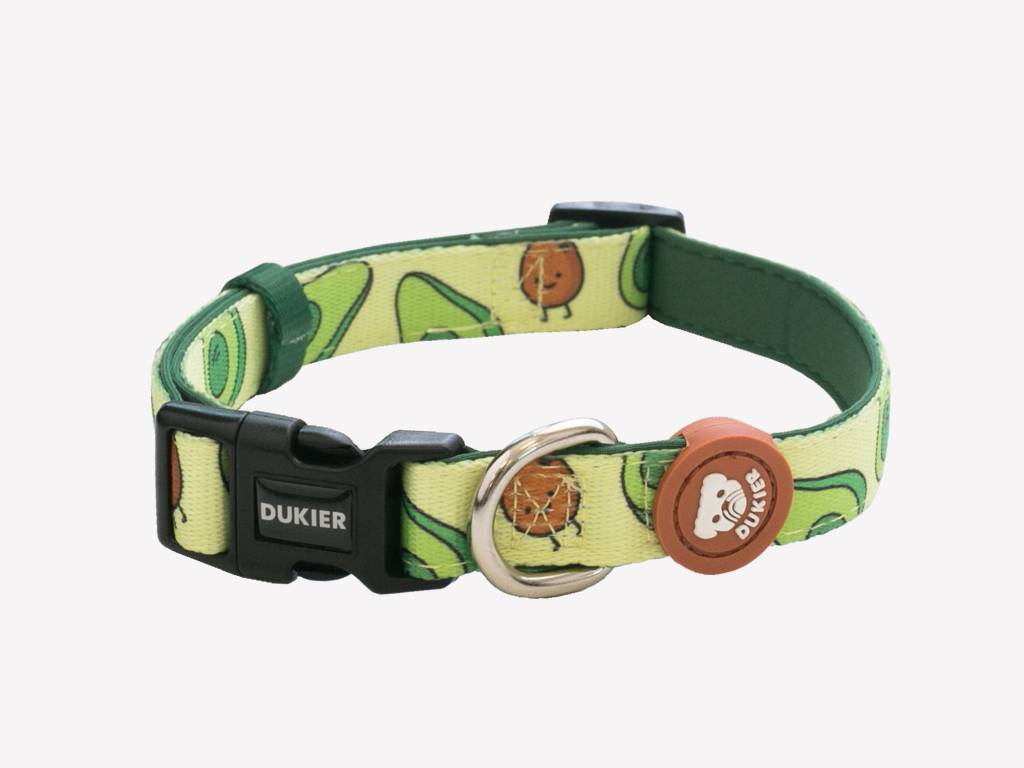 Dukier halsband collar Avocado - Premium halsband > hondenhalsband from Dukier - Just €17.99! Shop now at Frenkiezdogshop