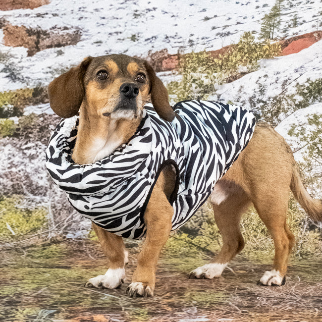 Puppia Cotton Touch Harness Pullover Mint