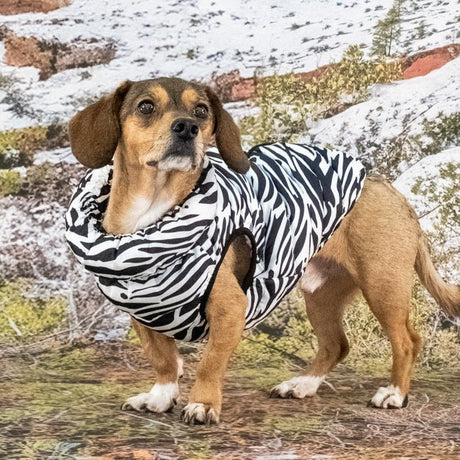 Puppia Wild Puffer Vest Harness Jumper Black Hondenkleding > hondenjas Small