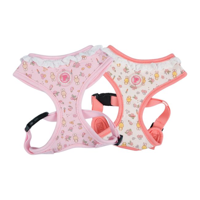 Pinkaholic Amara Harness Indian Pink