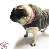 Military Sweatshirt ALLEEN MEDIUM - Premium Hondenkleding > Hondentrui from Pimp My Pug - Just €29.99! Shop now at Frenkiezdogshop