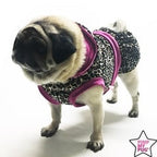 Leopard Jurk Roze - Premium Hondenkleding > Hondenjurk from Pimp My Pug - Just €10! Shop now at Frenkiezdogshop