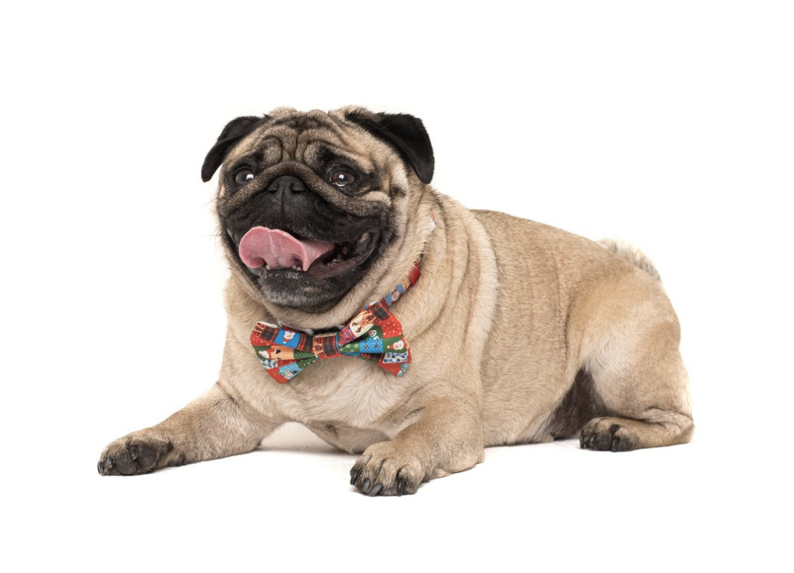 Big and Little Dogs Halsband Silly Season ( XS & M ) - Premium halsband > hondenhalsband from Big and Little Dogs - Just €16.99! Shop now at Frenkiezdogshop