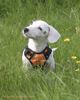 Frenkiez reflective Y tuig dog harness orange - Premium hondentuig > honden harnas from Frenkiez - Just €19.99! Shop now at Frenkiezdogshop