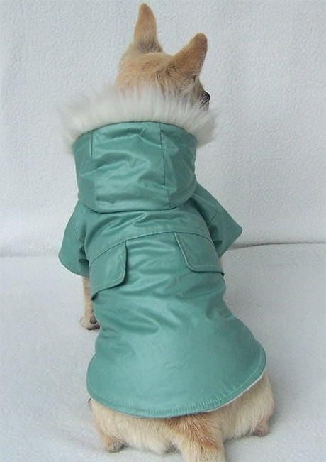 Winterjasje mintgroen - Premium Hondenkleding > hondenjas from Frenkiezdogshop - Just €14.99! Shop now at Frenkiezdogshop