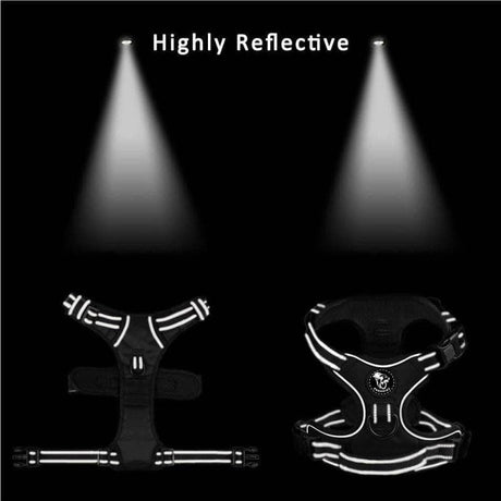 Frenkiez reflective Y tuig no pull dogharness Grey ( XSMALL) hondentuig > honden harnas > Y tuigen X-Small