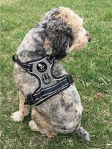 Frenkiez reflective Y tuig no pull dogharness Grey ( XSMALL) hondentuig > honden harnas > Y tuigen X-Small