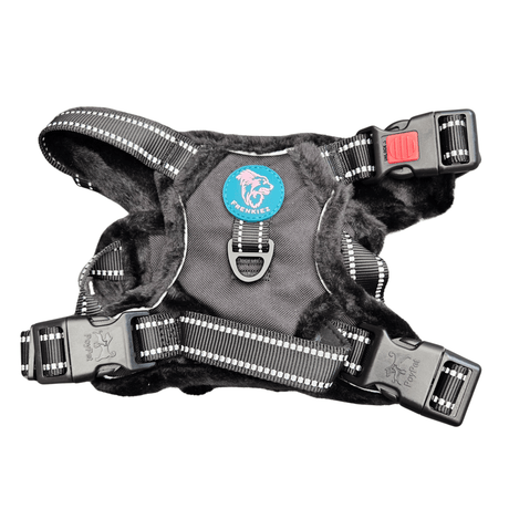 Frenkiez Teddy reflective Y tuig no pull dogharness Black hondentuig > honden harnas > Y tuigen Small