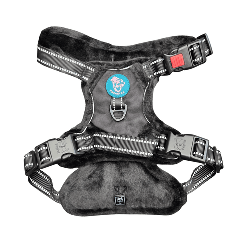 Frenkiez Teddy reflective Y tuig no pull dogharness Black hondentuig > honden harnas > Y tuigen Small