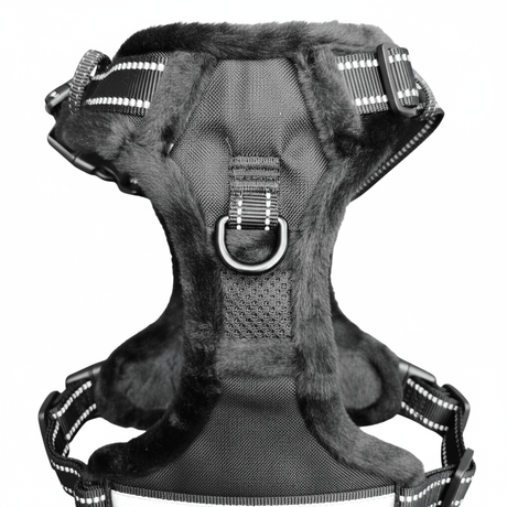 Frenkiez Teddy reflective Y tuig no pull dogharness Black hondentuig > honden harnas > Y tuigen Small