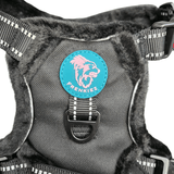Frenkiez Teddy reflective Y tuig no pull dogharness Black hondentuig > honden harnas > Y tuigen Small