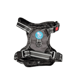 Frenkiez Teddy reflective Y tuig no pull dogharness Black hondentuig > honden harnas > Y tuigen Small