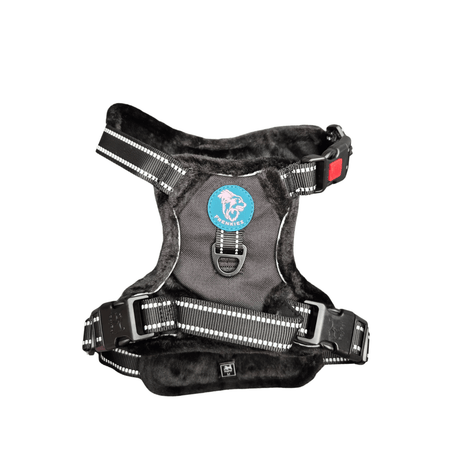 Frenkiez Teddy reflective Y tuig no pull dogharness Black hondentuig > honden harnas > Y tuigen Small