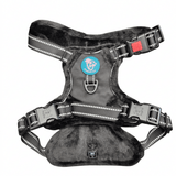 Frenkiez Teddy reflective Y tuig no pull dogharness Black hondentuig > honden harnas > Y tuigen Small