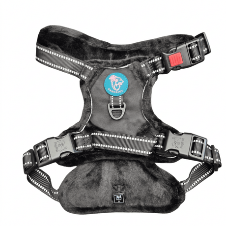 Frenkiez Teddy reflective Y tuig no pull dogharness Black hondentuig > honden harnas > Y tuigen Small