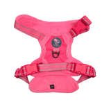 Frenkiez Teddy reflective Y tuig no pull dogharness Hot Pink hondentuig > honden harnas > Y tuigen Small