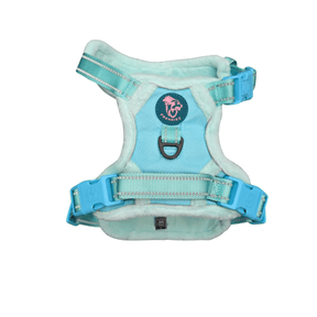 Frenkiez Teddy reflective Y tuig no pull dogharness Mint hondentuig > honden harnas > Y tuigen Small