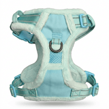 Frenkiez Teddy reflective Y tuig no pull dogharness Mint hondentuig > honden harnas > Y tuigen Small
