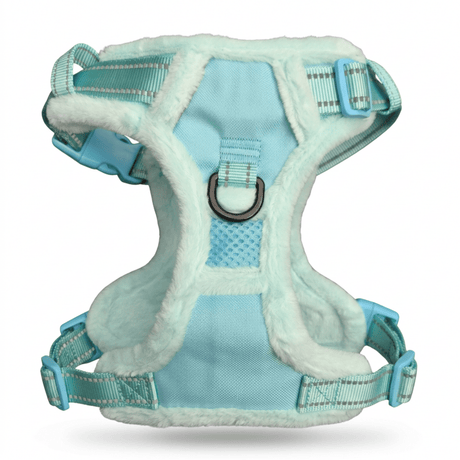 Frenkiez Teddy reflective Y tuig no pull dogharness Mint hondentuig > honden harnas > Y tuigen Small