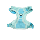 Frenkiez Teddy reflective Y tuig no pull dogharness Mint hondentuig > honden harnas > Y tuigen Small