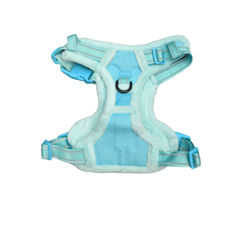 Frenkiez Teddy reflective Y tuig no pull dogharness Mint hondentuig > honden harnas > Y tuigen Small