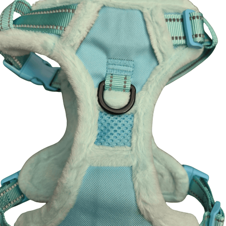 Frenkiez Teddy reflective Y tuig no pull dogharness Mint hondentuig > honden harnas > Y tuigen Small