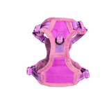 Frenkiez Teddy reflective Y tuig no pull dogharness Purple hondentuig > honden harnas > Y tuigen Small