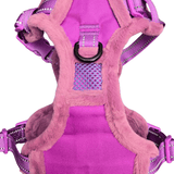 Frenkiez Teddy reflective Y tuig no pull dogharness Purple hondentuig > honden harnas > Y tuigen Small