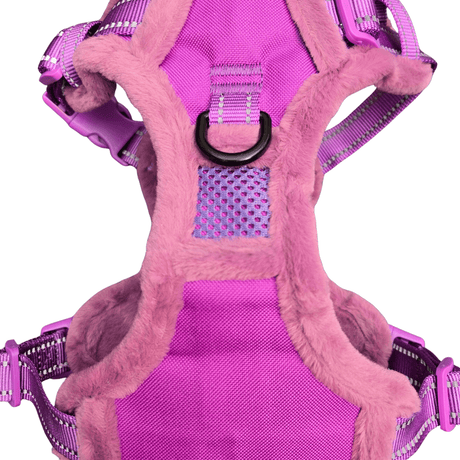 Frenkiez Teddy reflective Y tuig no pull dogharness Purple hondentuig > honden harnas > Y tuigen Small