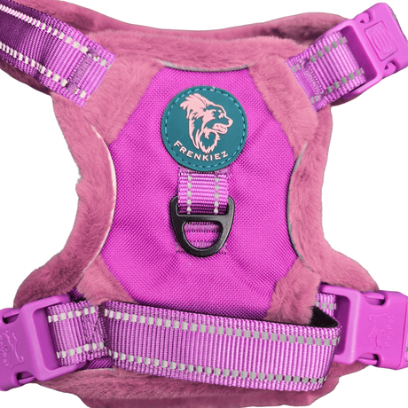 Frenkiez Teddy reflective Y tuig no pull dogharness Purple hondentuig > honden harnas > Y tuigen Small