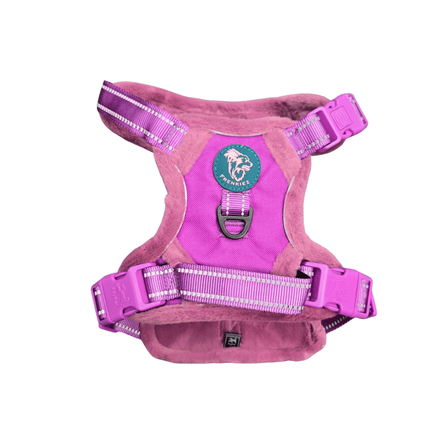 Frenkiez Teddy reflective Y tuig no pull dogharness Purple hondentuig > honden harnas > Y tuigen Small