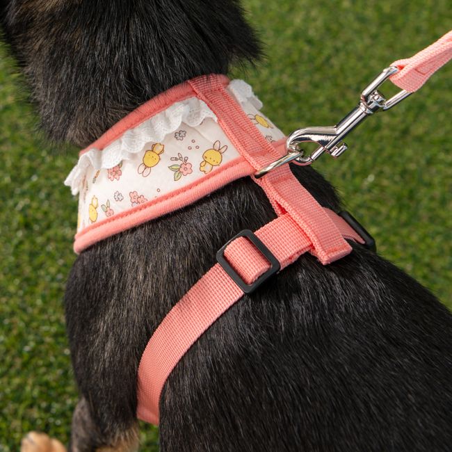Pinkaholic Amara Harness Indian Pink