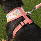Pinkaholic Amara Harness Indian Pink