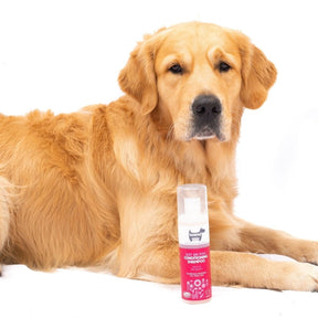 Hownd Got an Itch Condition Shampoo (250ML) Hondenshampoo > Vachtverzorging 250 ML