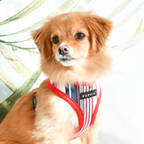 Puppia Caiden Harness Model A red - Premium hondentuig > honden harnas from Puppia - Just €25.99! Shop now at Frenkiezdogshop