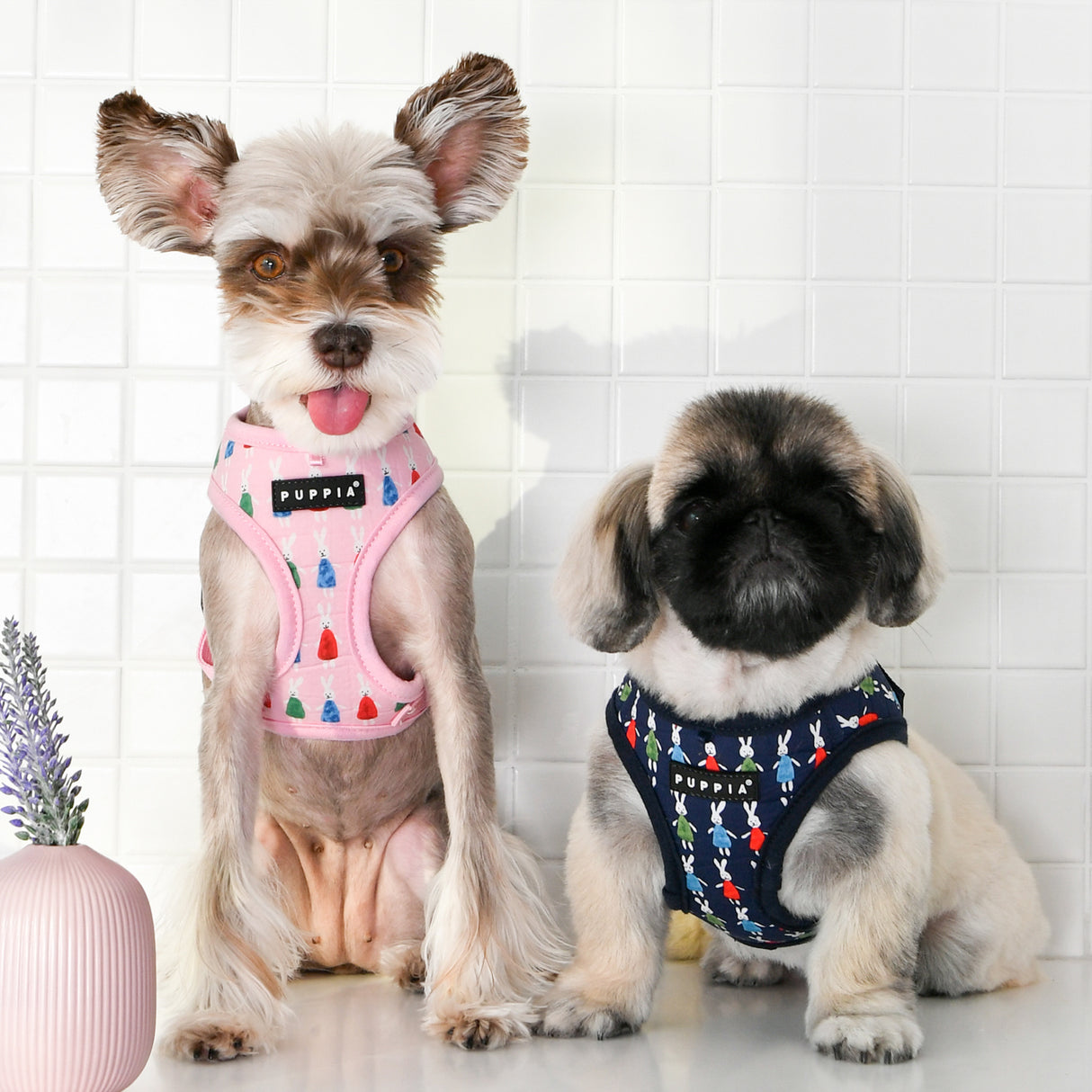 Puppia Mollie Harness Model A Pink - Premium hondentuig > honden harnas from Puppia - Just €21.99! Shop now at Frenkiezdogshop