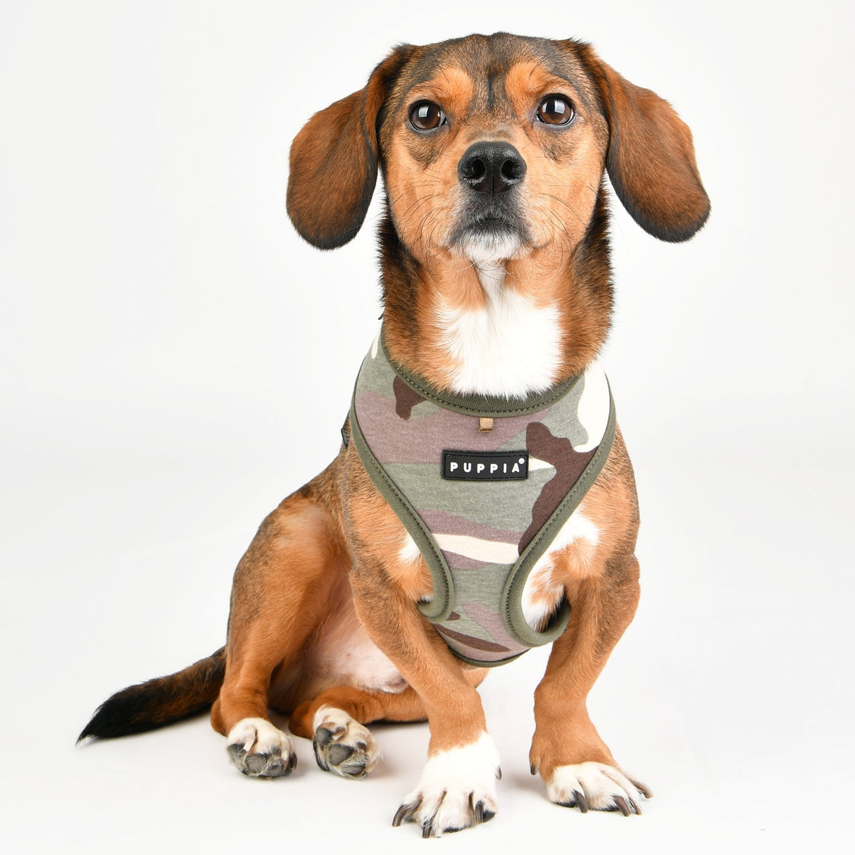 Puppia Lance Harness Model A camo ( X-Large ) - Premium hondentuig > honden harnas from Puppia - Just €25.99! Shop now at Frenkiezdogshop