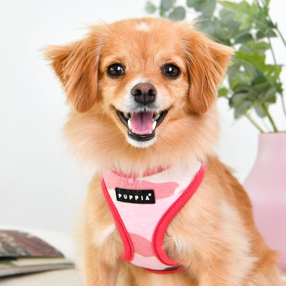 Puppia Lance Harness Model A pink camo - Premium hondentuig > honden harnas from Puppia - Just €20! Shop now at Frenkiezdogshop